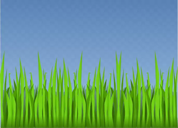 ������ƺ����ͼ�����������ɭ�ּ�����-������