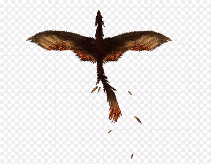 ����-������