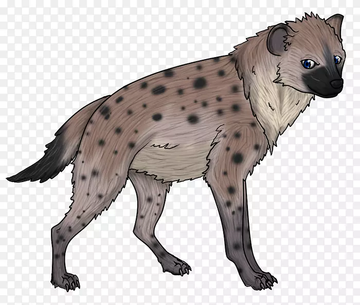 Ȯ�ֲ�������-��-������