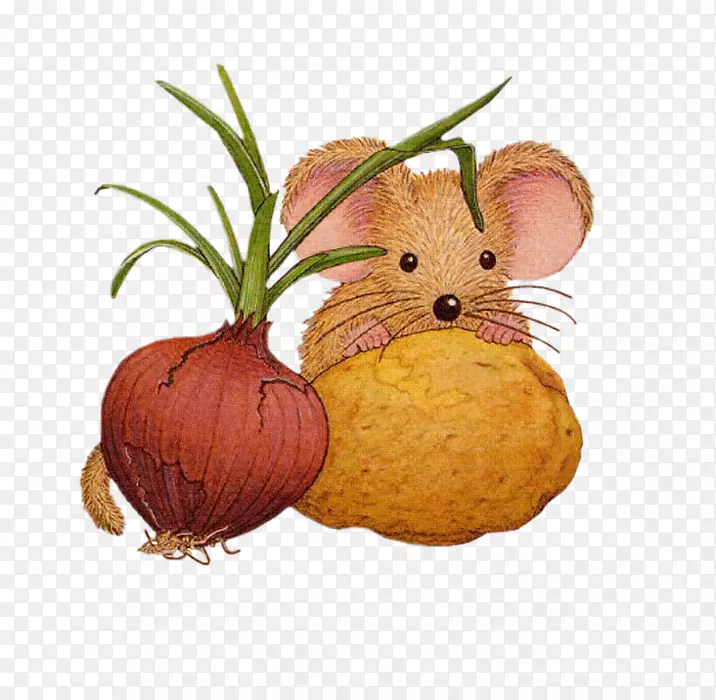 ʮ������������격�͸�������-������