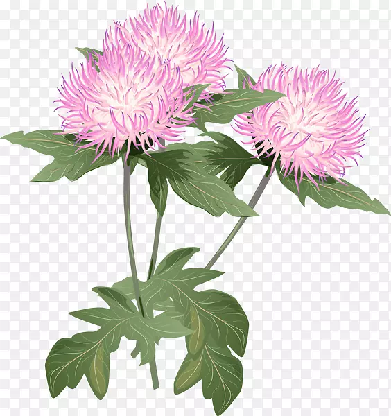 ����������.��Ƭ-������