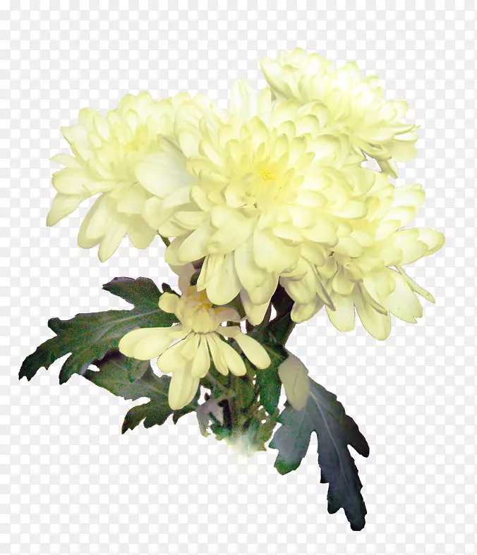 �ջ�������ƴ�����-�ջ��л�-������