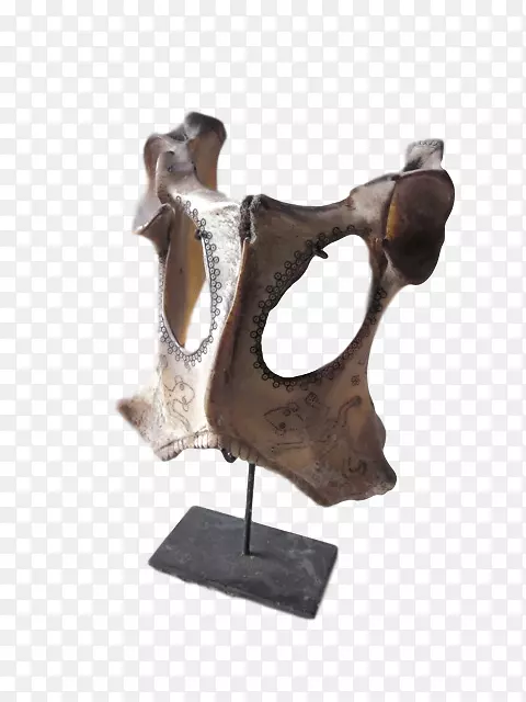 ���ܰ�˹��������ľ��ʯ�߹ǲ���-������