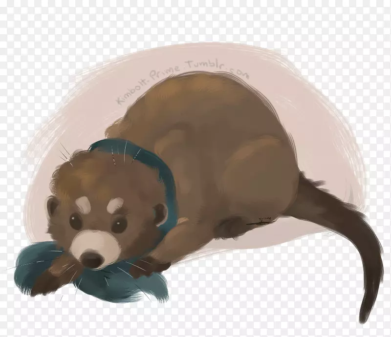 ��ĩ��ë�޶���&�ɰ�����ߣ��������-ë���׵�ˮ̡-������