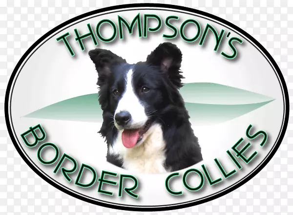 Ȯ�ֱ߾�����Ȯ��׳����Ȯ����-�Ĵ���������Ȯ�߾�����Ȯ-������