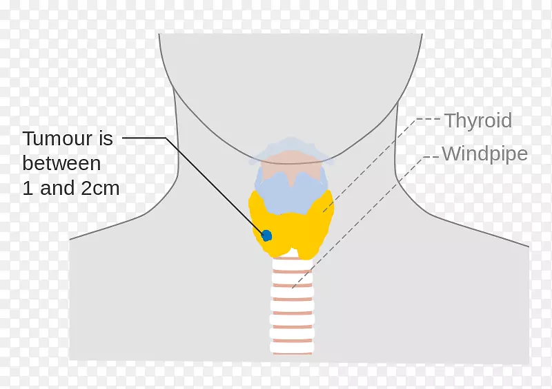 Ʒ�Ʋ�Ʒ��Ʋ�����Դ-������