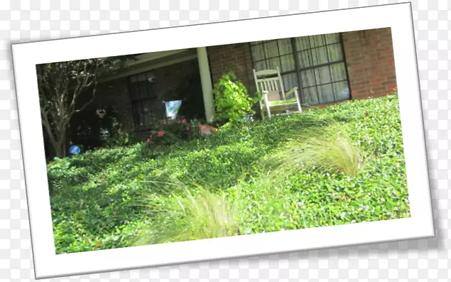 �����������ʲ�-��ޱ-������