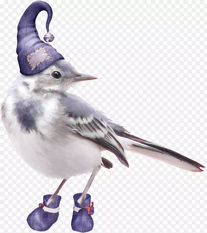 Adobe Photoshopͼ��pngͼƬ�·�����-����12 0 1-������