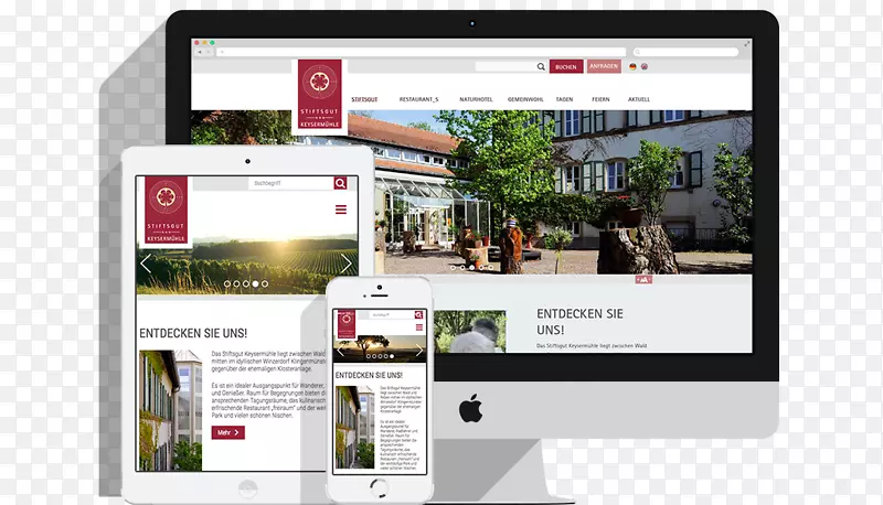 ��ý��չʾ�����վƷ�����-������