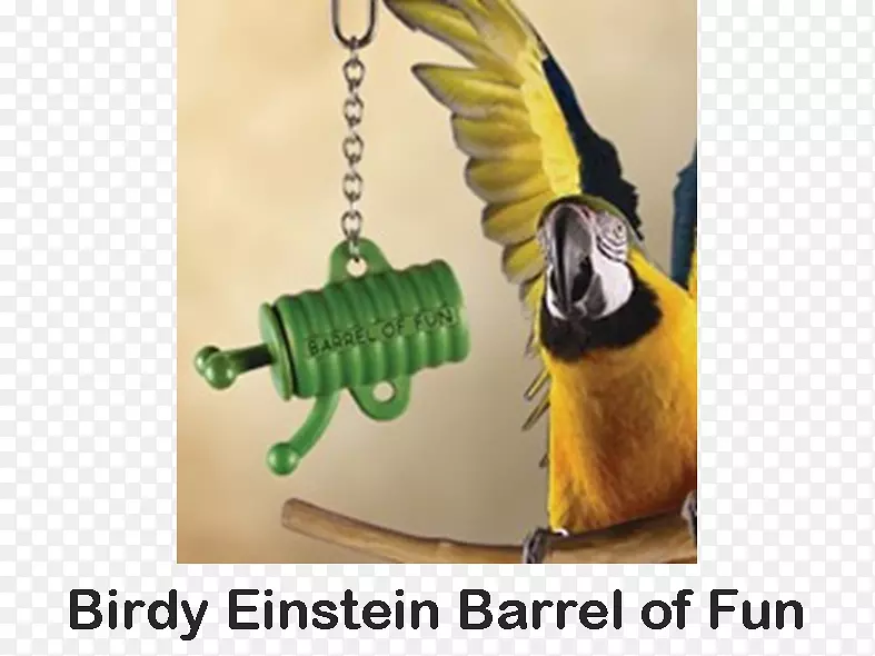 ��Ʒ��ƶ���.���-������