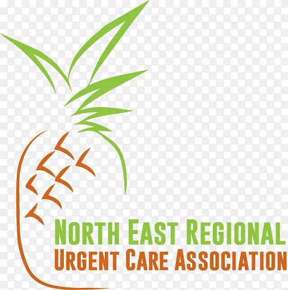 Ҷ��������ֲ�ﾥ��Ҷ-������