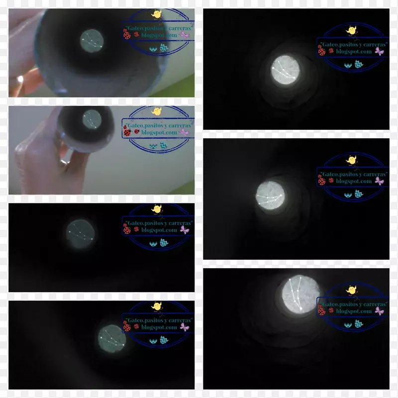 ���Ӳ�Ʒ��ƶ�ý�����-������