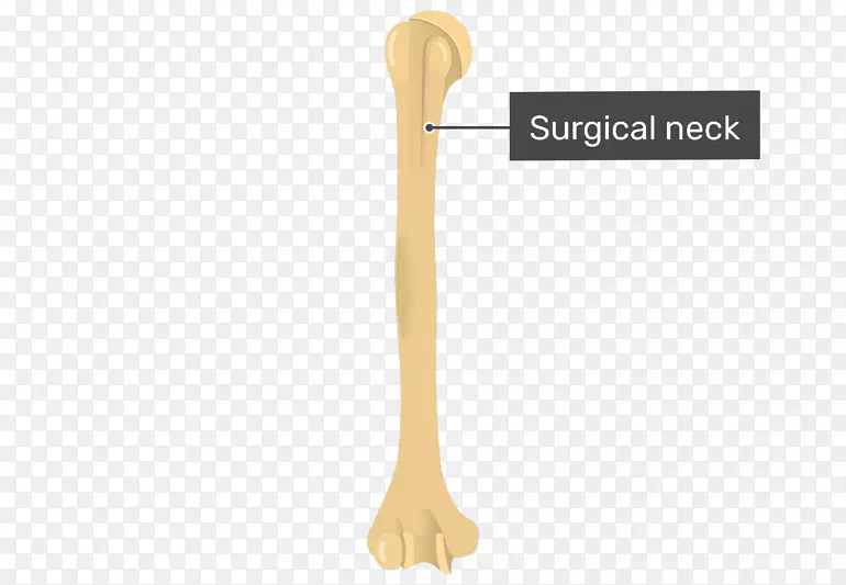 ��Ʒ��Ƴ�-������