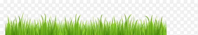 ����������ֽҶֲ�ﾥ.��������-������