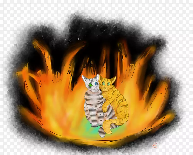 �����ֽ����-���춯��-������