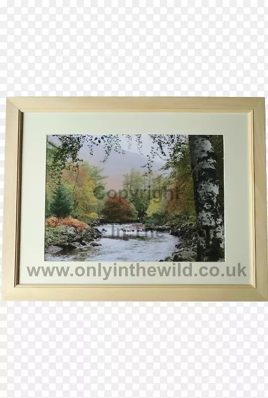 ˮ�ʻ�����ˮ�ʻ�-������