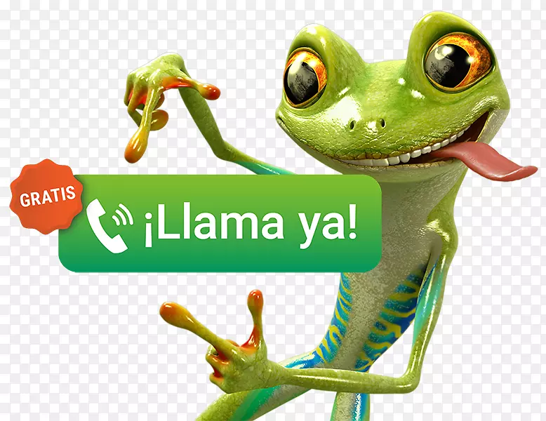 ���ܵ绰�����绰IP�绰�̵�-��������-������