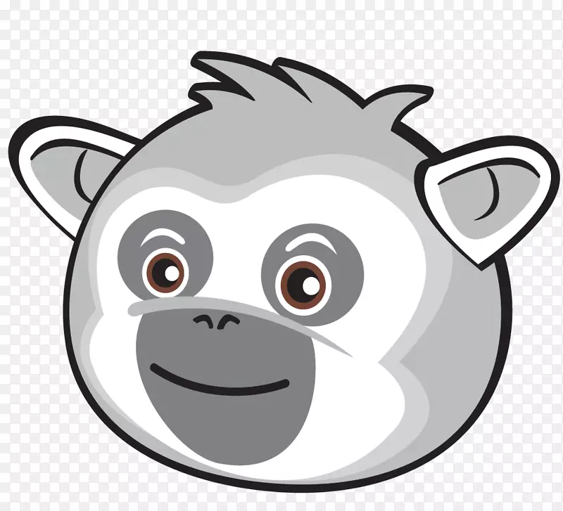 ������ѧ���ӽ���������ѧ����ѧ��-������