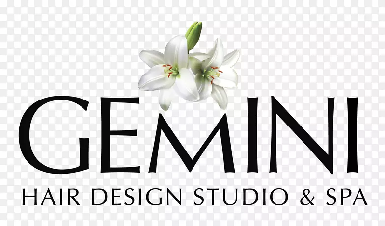 ��������л�Ʒ��.��Ҷ�ݲ���-������