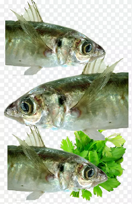 ɳ���㡢���㡢����ְҵ�ߡ�������-��������-������