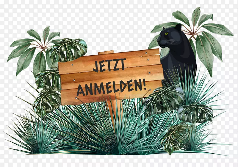 �����-����������-������