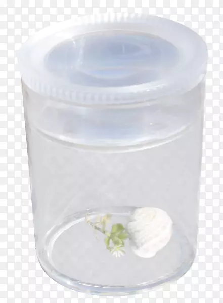 ������Ʒ���Ӳ����β�����-������