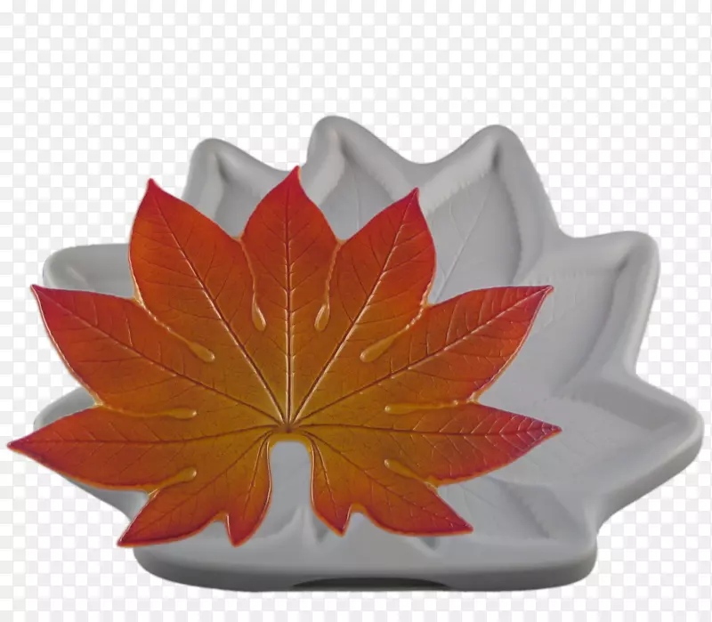 �����������ڲ�����������-������