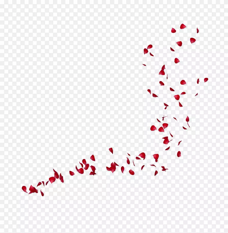 pngͼƬ���������ֽadobe Photoshopͼ��-dslr-������