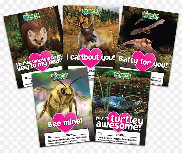 ����Ʒ�������˽�����-������