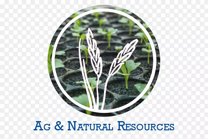 ��-ũ��Ʒ����-������