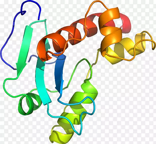 ������ʳƷ������-������