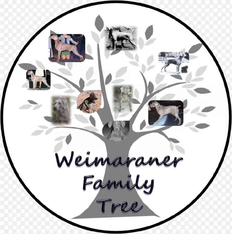 �̱��������������-����˿����-������