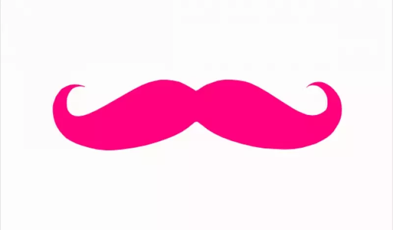 ȫ������Ƥ����ɸ��-���׼���-������