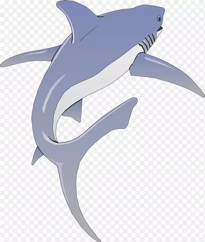 ǽ����ֽ���ո���ֽ�������-������