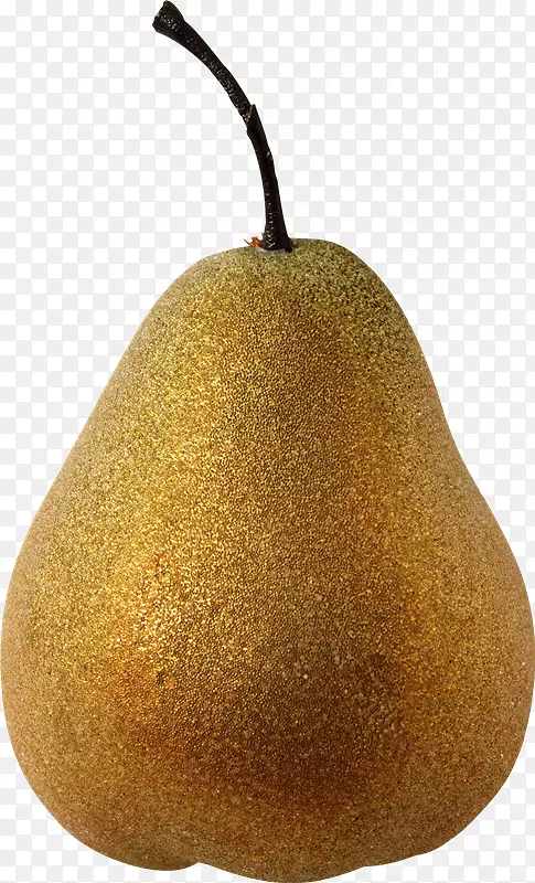 PEARpngͼƬͼ��adobe Photoshop-PEAR-������