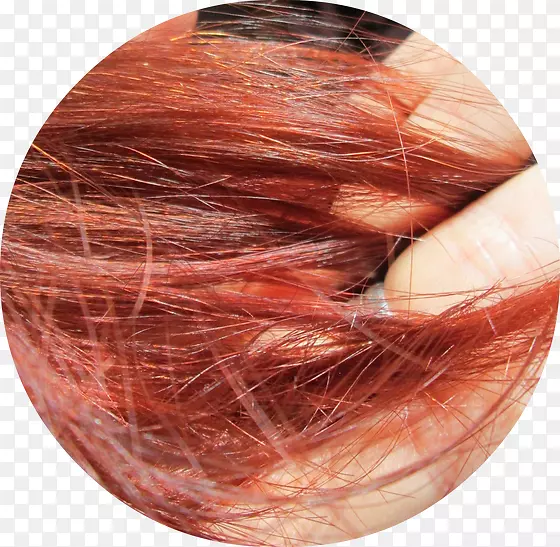 ��ɫ����ɫ-������