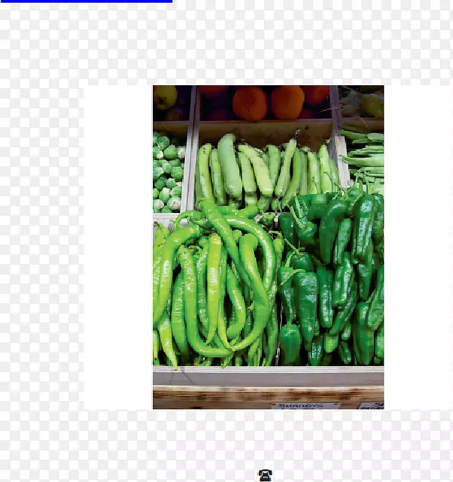 �л����߲�-������