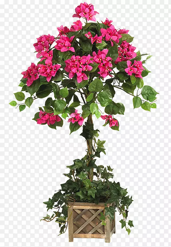 ����Ȼ���˹�����-������