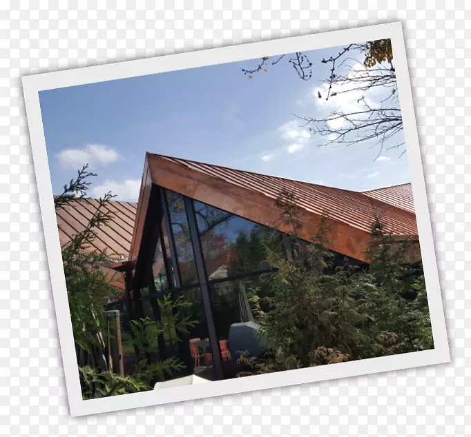 ��������������.ʯ��ذ�-������