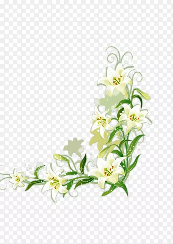 �װٺ�-������