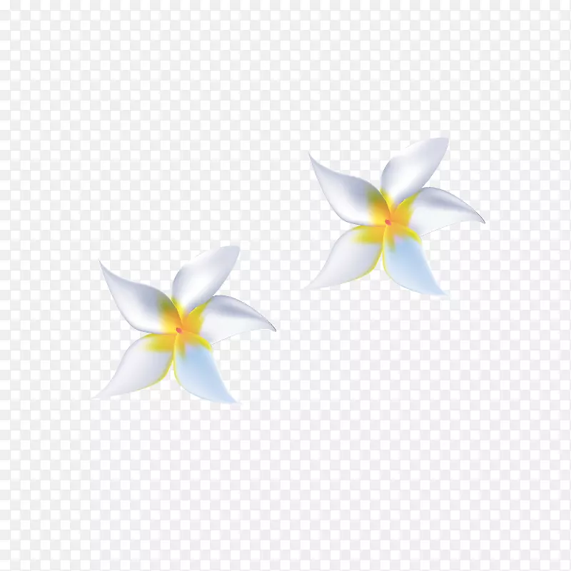 �װٺ�-������