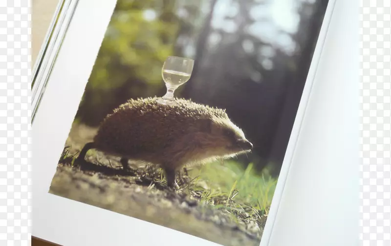 ����-��������-������