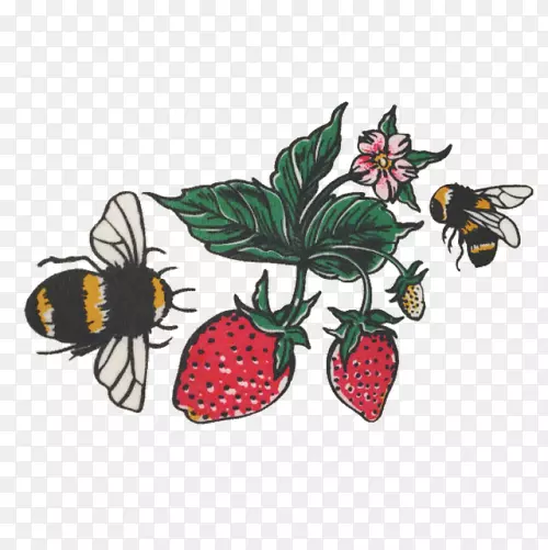 ��ݮ����������ˮ������.��ݮ-������