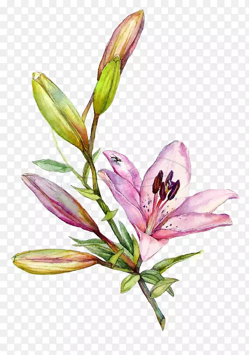 �ٺ�ˮ�ʻ���ͼ.�ֻ�ٺ�-������