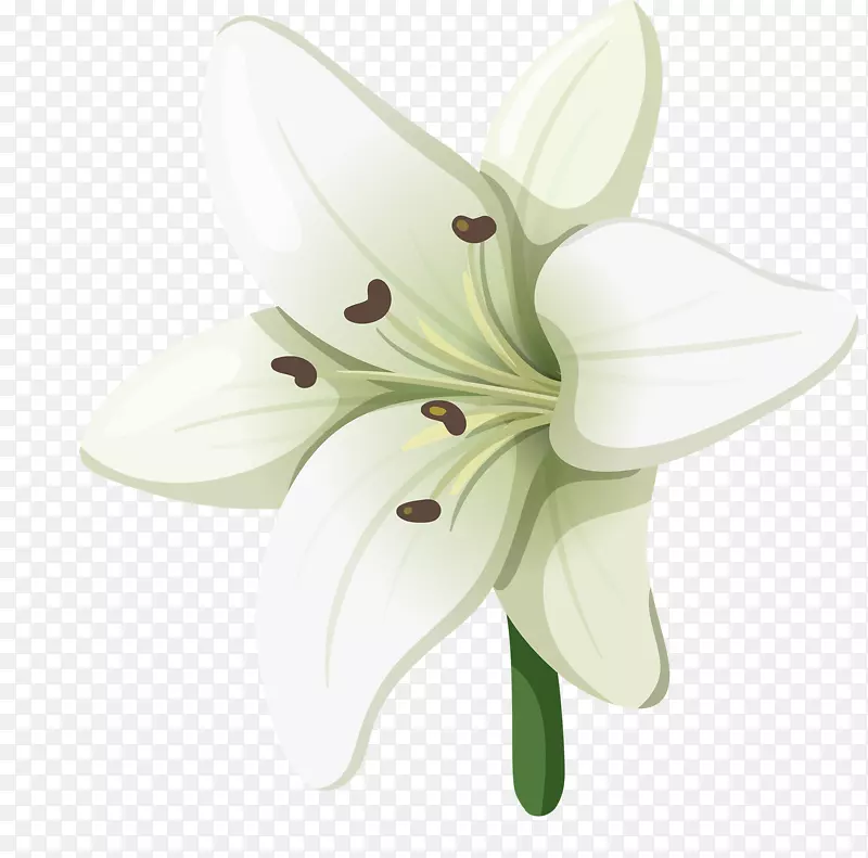 �ٺϣ�������ͼ��.�ֻ�ٺ�-������