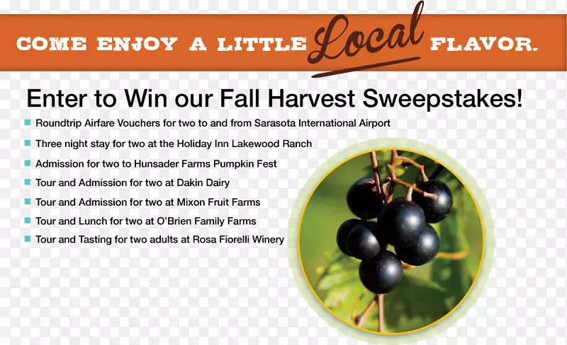 ���ѳ�ʳ��ȻʳƷ-����-������