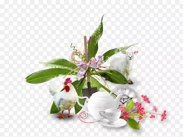 �л�����ֲ���֦-Ƥ����Լɪ��-������