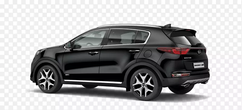 ������������µ��������ų�-������