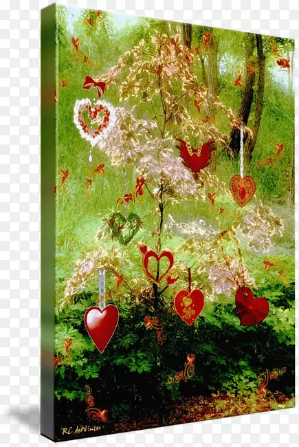 ���￪��ֲ���ľ-��Ը��-������