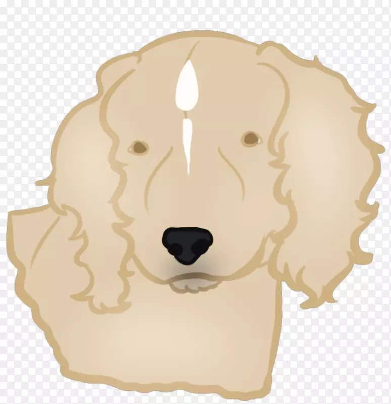 С��ʨ�ӹ�����-С��-������